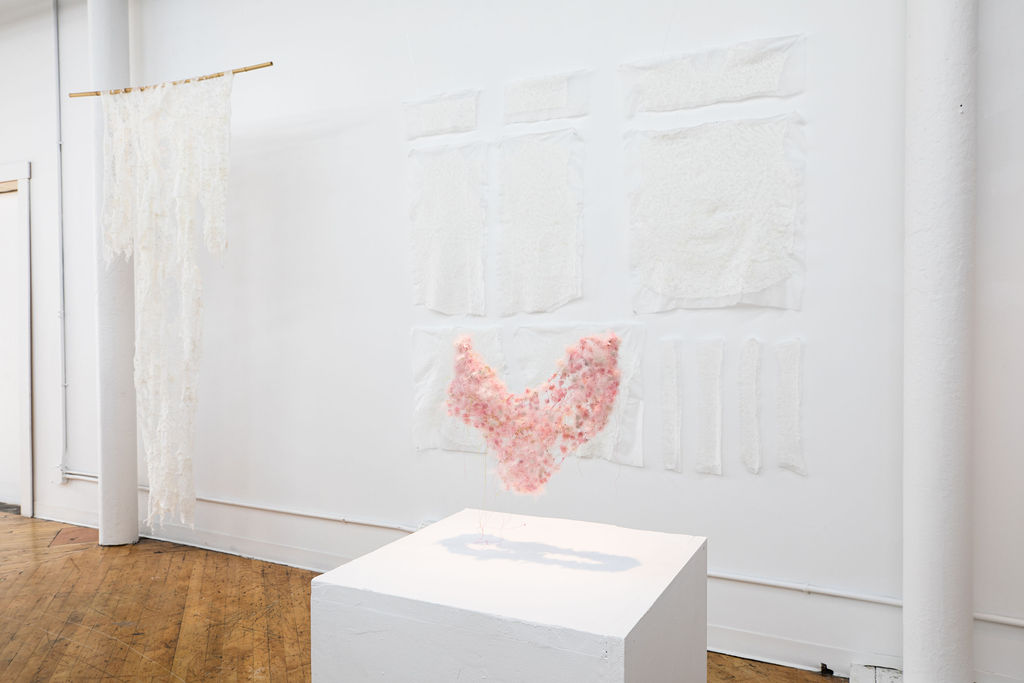 Over a pedestal hands pink underwear woven by goose down. Hanging on the back of the wall are white lace fiber works.