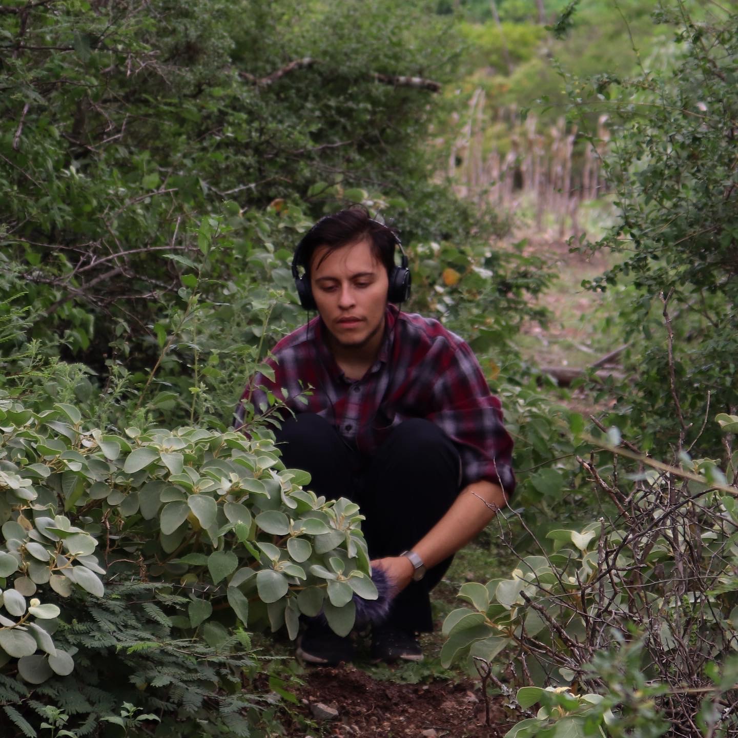 A light skin mestizo man squats down surrounded by thick green bushes. He uses black over-the-ear headphones to listen intently to sounds picked up through an audio recorder in his hand but obscured by the foliage. He is wearing a burgundy and grey plaid flannel and black pants. 