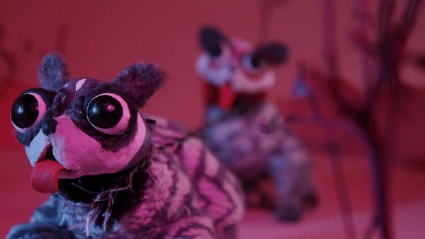 Two stop motion husky dogs with a pink background. One dog is panting with its tongue hanging out.